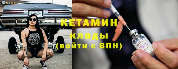 индика Горно-Алтайск