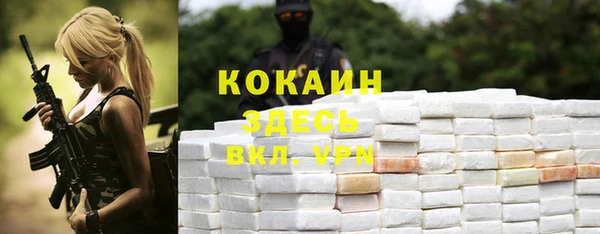 ГАЛЛЮЦИНОГЕННЫЕ ГРИБЫ Горняк