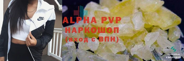 ГАЛЛЮЦИНОГЕННЫЕ ГРИБЫ Горняк