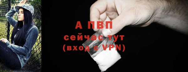 ГАЛЛЮЦИНОГЕННЫЕ ГРИБЫ Горняк