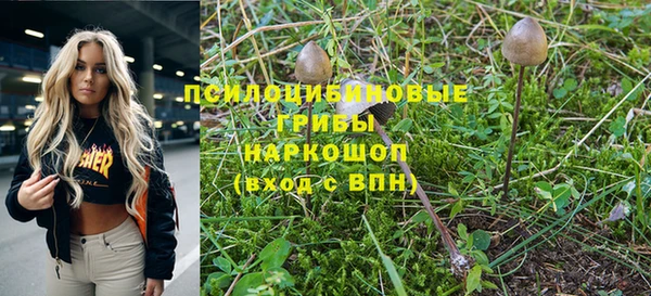 кокс Гусь-Хрустальный
