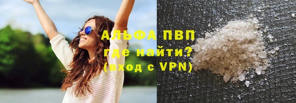 ГАЛЛЮЦИНОГЕННЫЕ ГРИБЫ Горняк