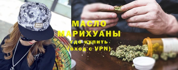 индика Горно-Алтайск