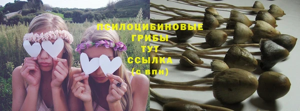 индика Горно-Алтайск