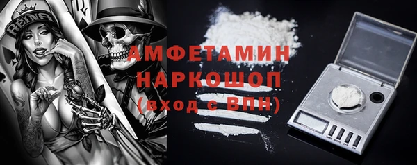 ГАЛЛЮЦИНОГЕННЫЕ ГРИБЫ Горняк