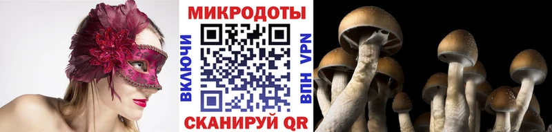 blacksprut как зайти  магазин  наркотиков  Кировск  Псилоцибиновые грибы мицелий 
